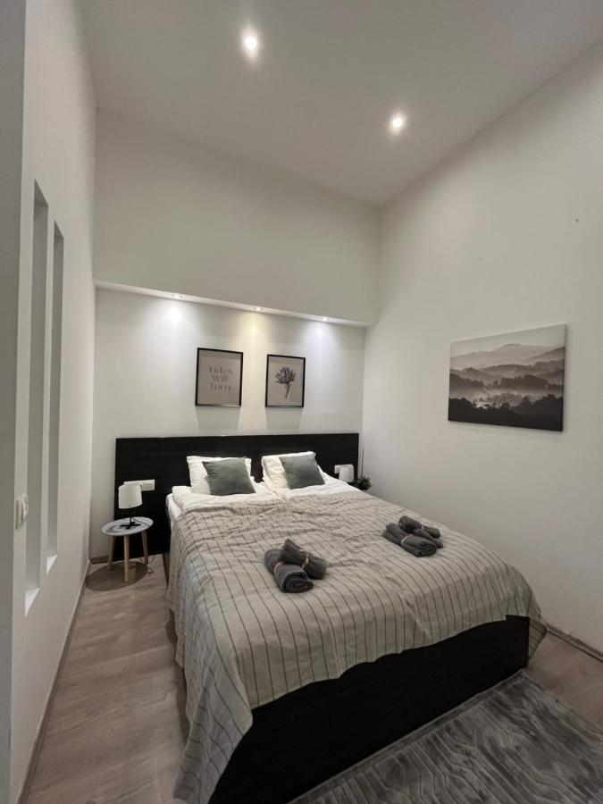 D58 Apartments In The City Center 부다페스트 외부 사진